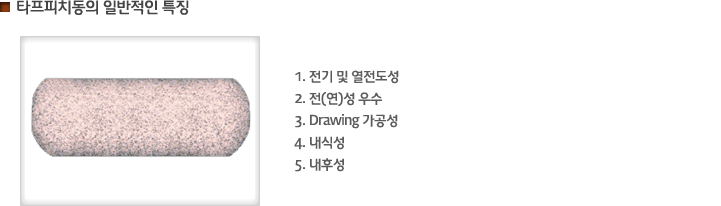 타프피치동의 일반적인 특징